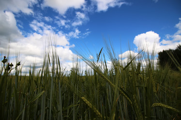 Similar image 20049967