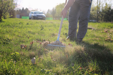 Similar image 20049981