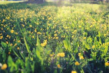 Similar image 20049989