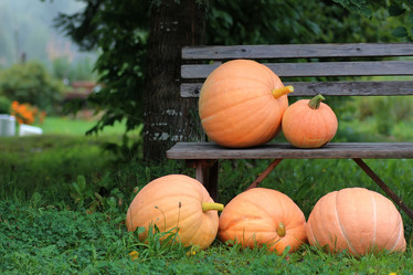 Similar image 20050000