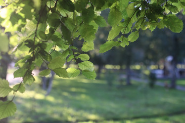 Similar image 20050005