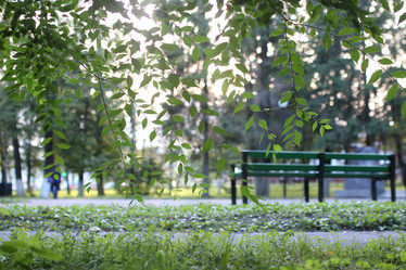 Similar image 20050006