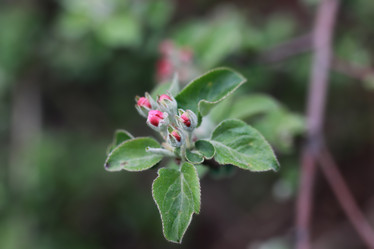 Similar image 20050011