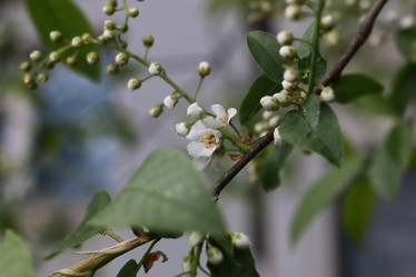 Similar image 20050015