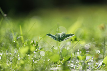 Similar image 20050023