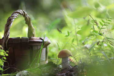 Similar image 20050025