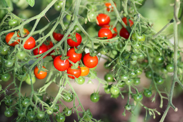 Similar image 20050026