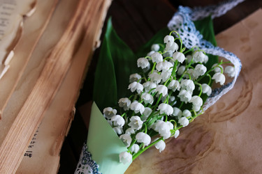 Similar image 20050032