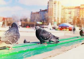 Similar image 20050042