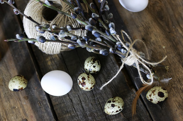 Similar image 20050051