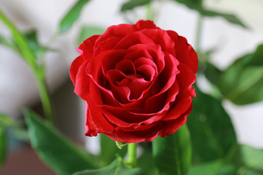 Similar image 20050052