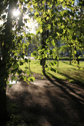 Similar image 20050058