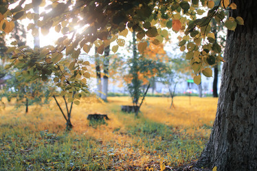 Similar image 20050063