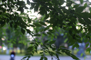 Similar image 20050064