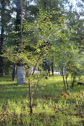 Similar image 20050065