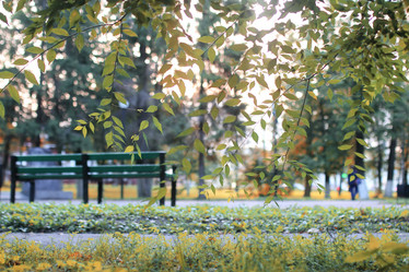 Similar image 20050066