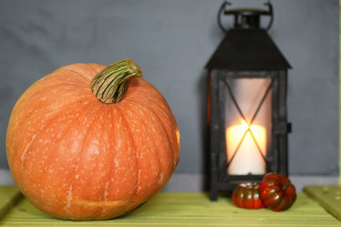 Similar image 20050071