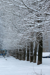 Similar image 20050079