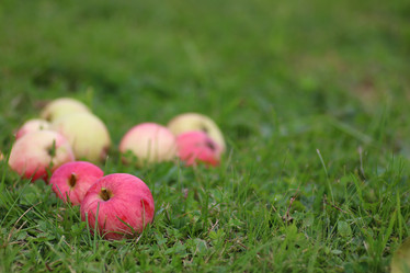 Similar image 20050080