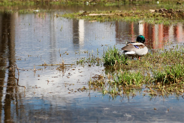 Similar image 20050084