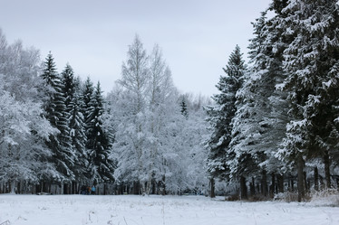 Similar image 20050085