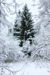 Similar image 20050087