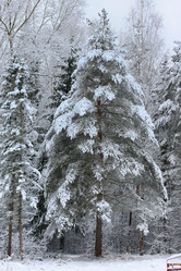 Similar image 20050091