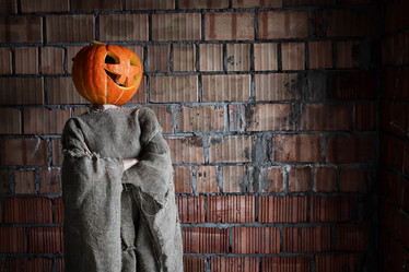 Similar image 20050099