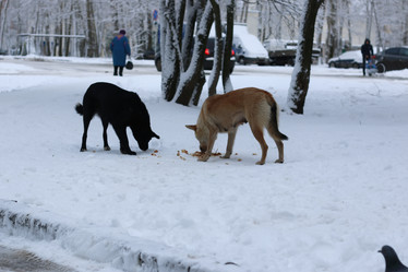 Similar image 20050100