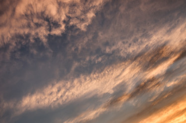 Similar image 20050111