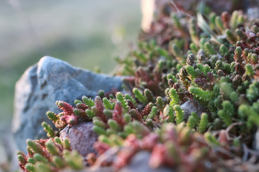 Similar image 20050116