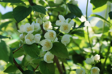 Similar image 20050119