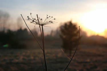 Similar image 20050120