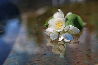 Similar image 20050121