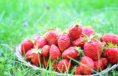 Similar image 20050124