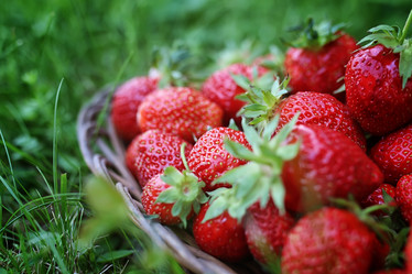 Similar image 20050127