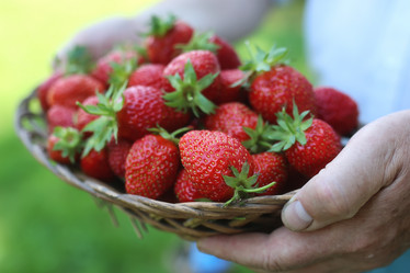 Similar image 20050129