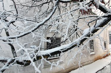 Similar image 20050141