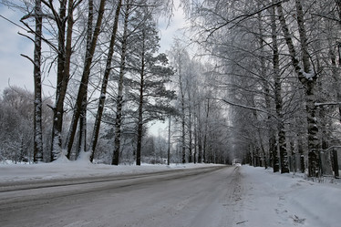 Similar image 20050143