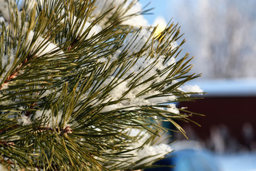 Similar image 20050148