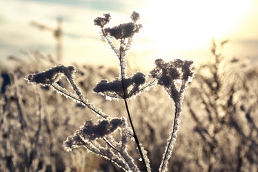 Similar image 20050150