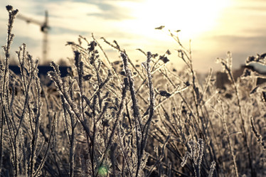 Similar image 20050151