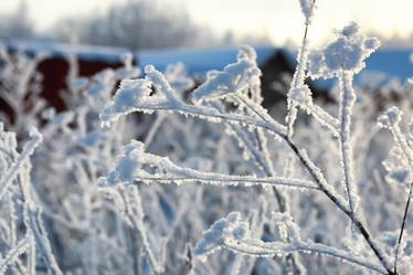 Similar image 20050152