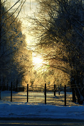 Similar image 20050153