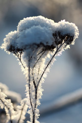 Similar image 20050155