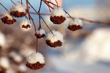 Similar image 20050157