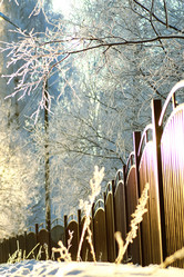 Similar image 20050160