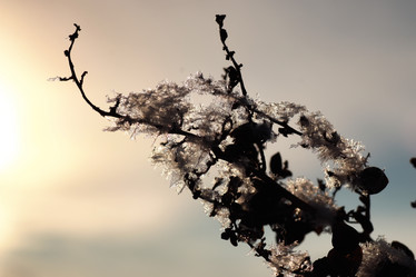 Similar image 20050186