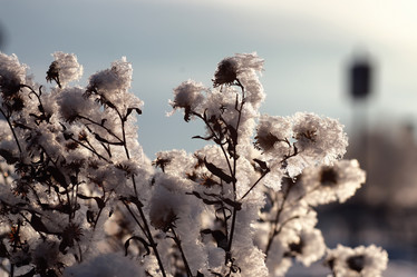 Similar image 20050187