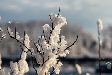 Similar image 20050188